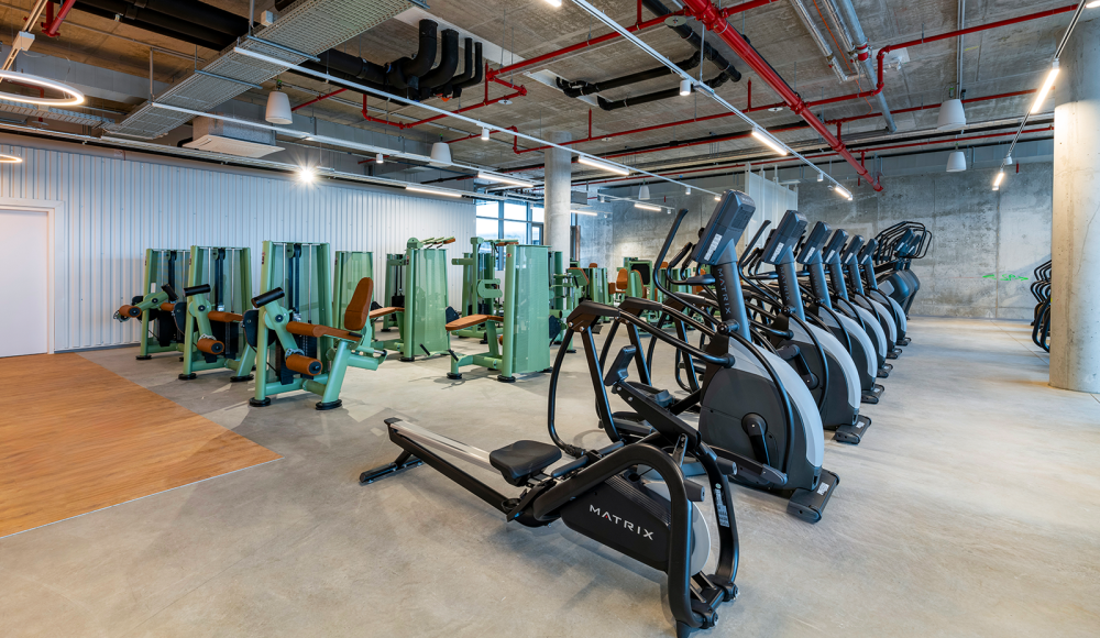 Das Original erfindet sich neu: McFIT eröffnet neues Studiokonzept in Wien