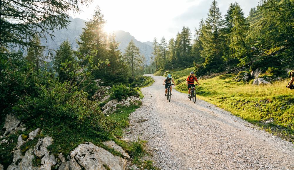 Top 20 MTB-Touren im Frühjahr 2024