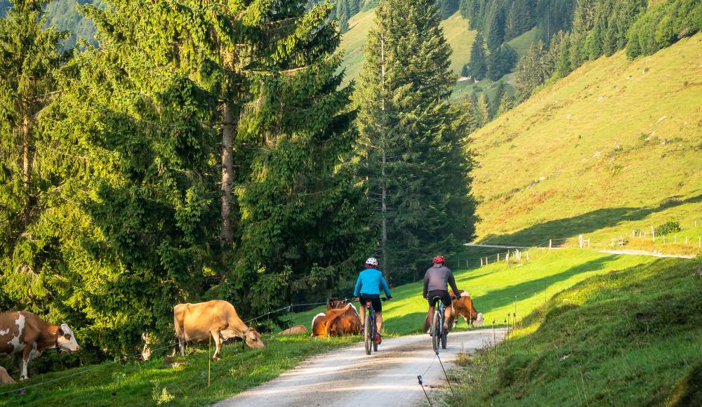 Entdeckt das Wander-Outdoor-Wasser Paradies: WOW-Kaiserwinkl!