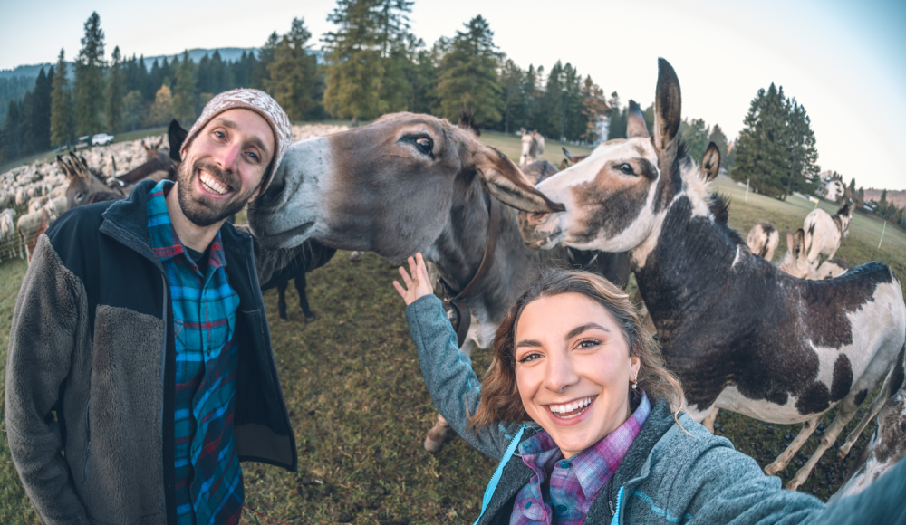 Genusswege und Gipfelblicke im Trentino