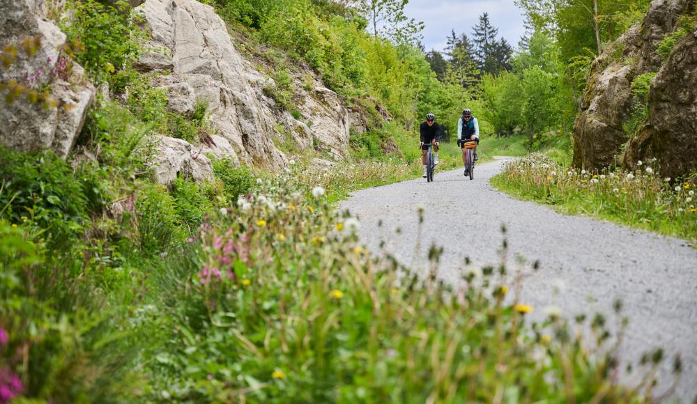 Gravelbiken im Bayerischen Wald