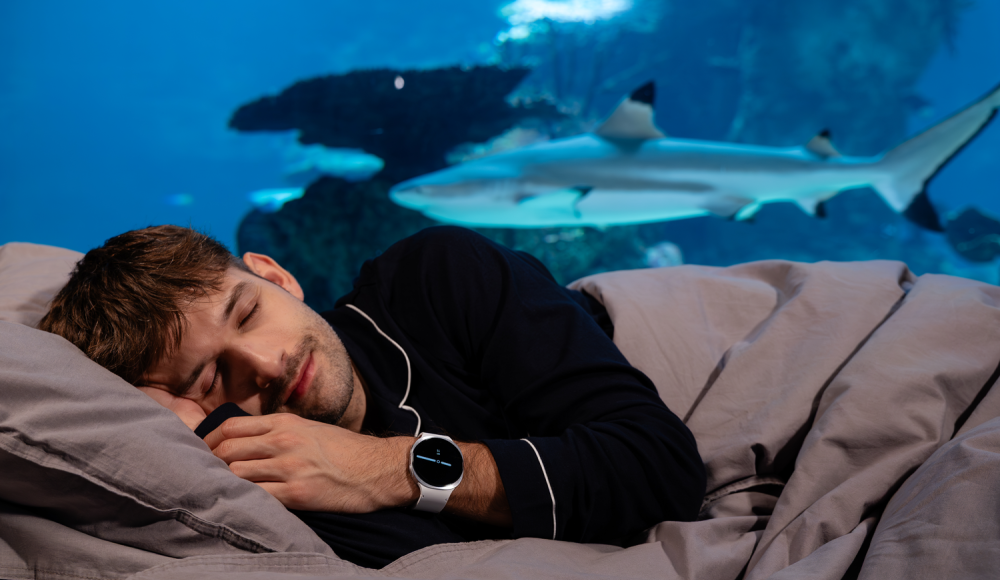 Samsung eröffnet Sleeptember mit exklusivem Event im Haus des Meeres