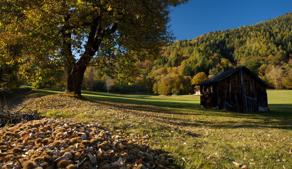 Genusswege und Gipfelblicke im Trentino
