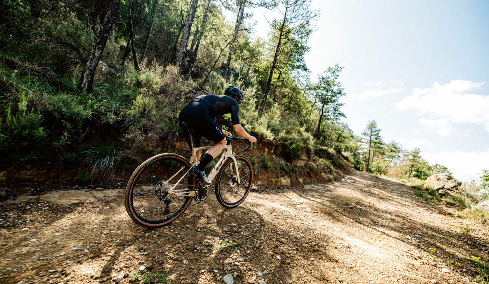 Ohne Schirm, dafür mit Charme und Motor: Die Suche nach dem perfekten Tourenbegleiter im E-Bike-Dschungel
