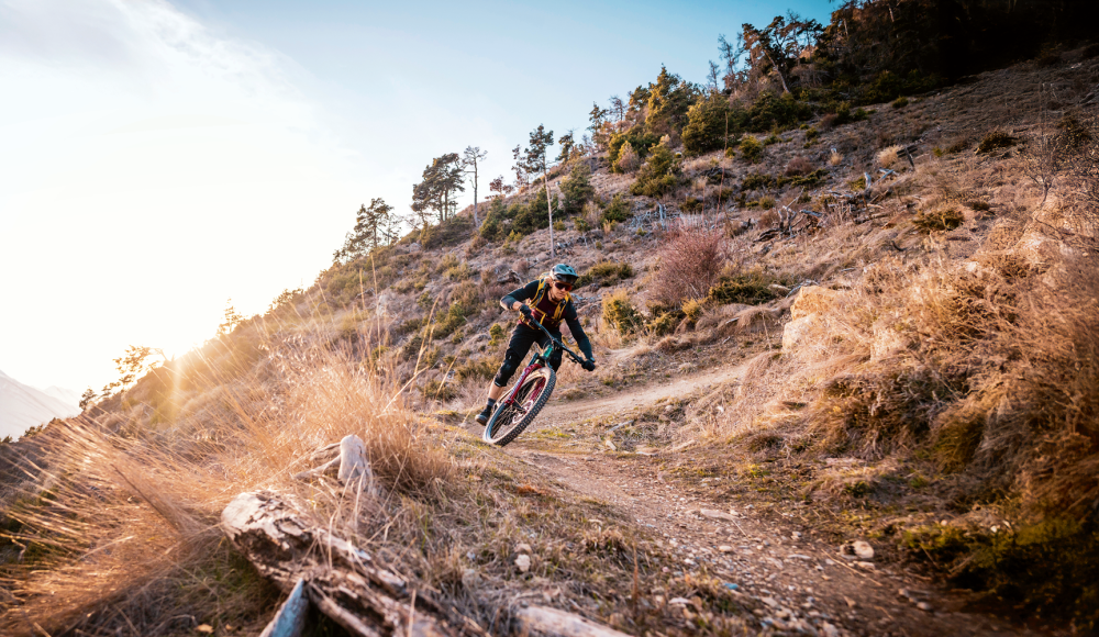 Tour mit Trail: Mountainbikes mit und ohne E-Antrieb – für kleine bis große Touren
