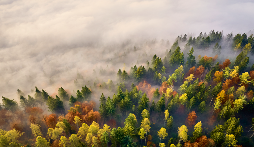 7 Herbstmomente: Impulse aus Urlaubsregionen, die zeigen, wie eindrucksvoll der Herbst ist