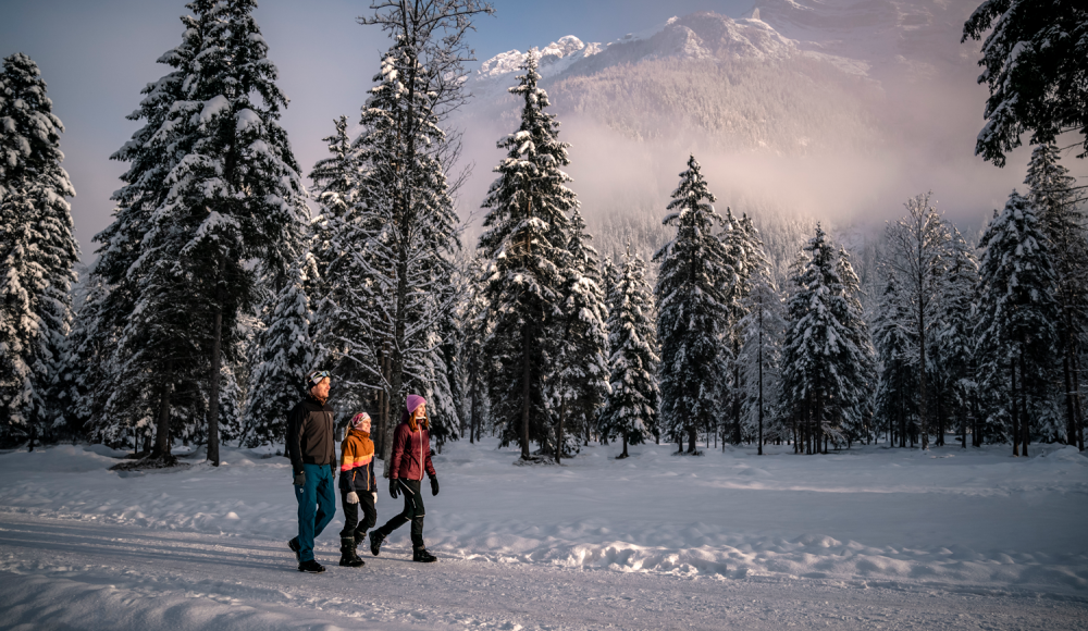 Auf leisen Pfaden: Die Stille des Winters in Wanderschuhen und auf Schneeschuhen entdecken