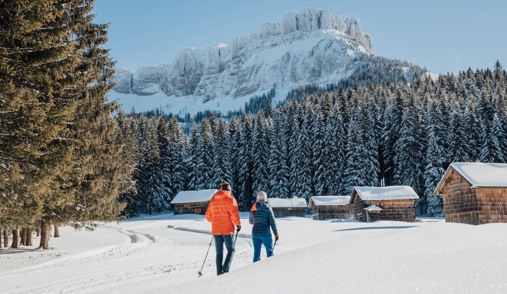 Auf leisen Pfaden: Die Stille des Winters in Wanderschuhen und auf Schneeschuhen entdecken
