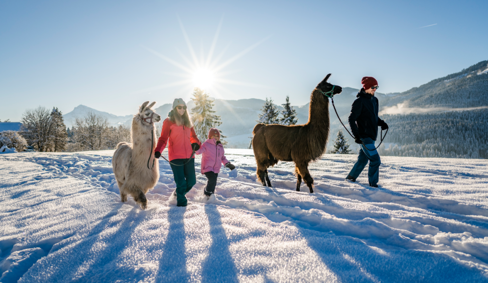MÄRZplus 2026 am Wilden Kaiser: Wenn Winter & Frühling aufeinandertreffen