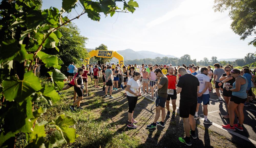 Der WACHAUmarathon startet mit Brooks in die 26. Auflage!