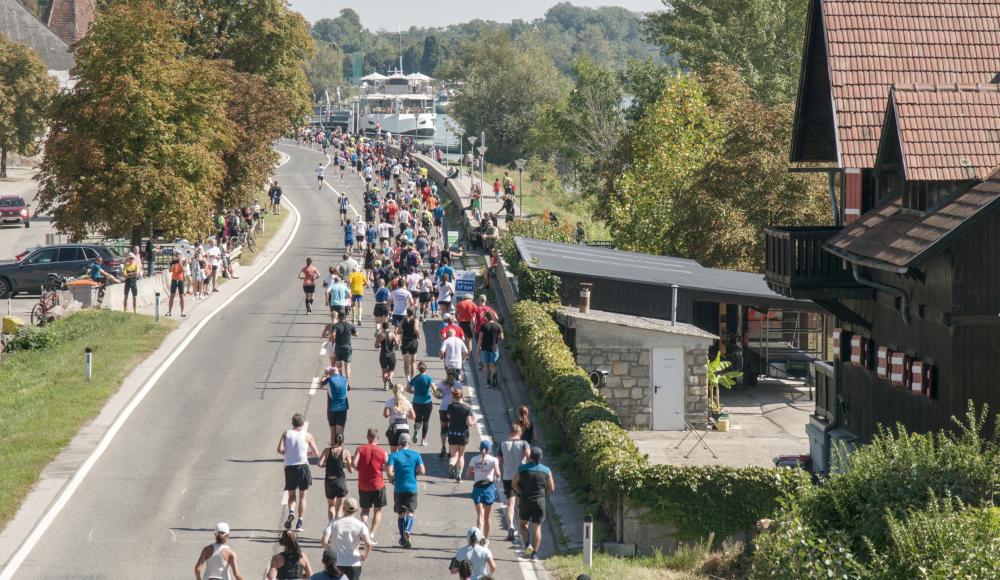 Der WACHAUmarathon startet mit Brooks in die 26. Auflage!
