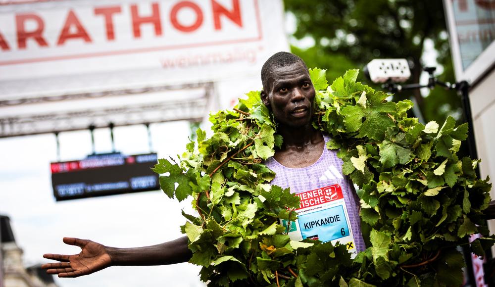 Der WACHAUmarathon startet mit Brooks in die 26. Auflage!