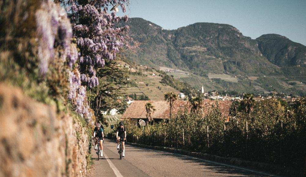 Südtirol neu entdeckt – auf schmalen Reifen durchs Meraner Land