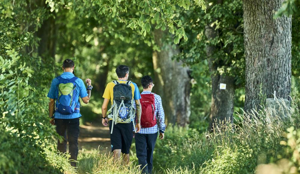 Trekking Award 2026 geht an den Goldsteig