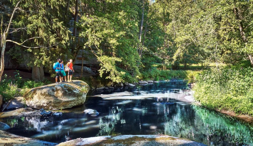 Trekking Award 2026 geht an den Goldsteig