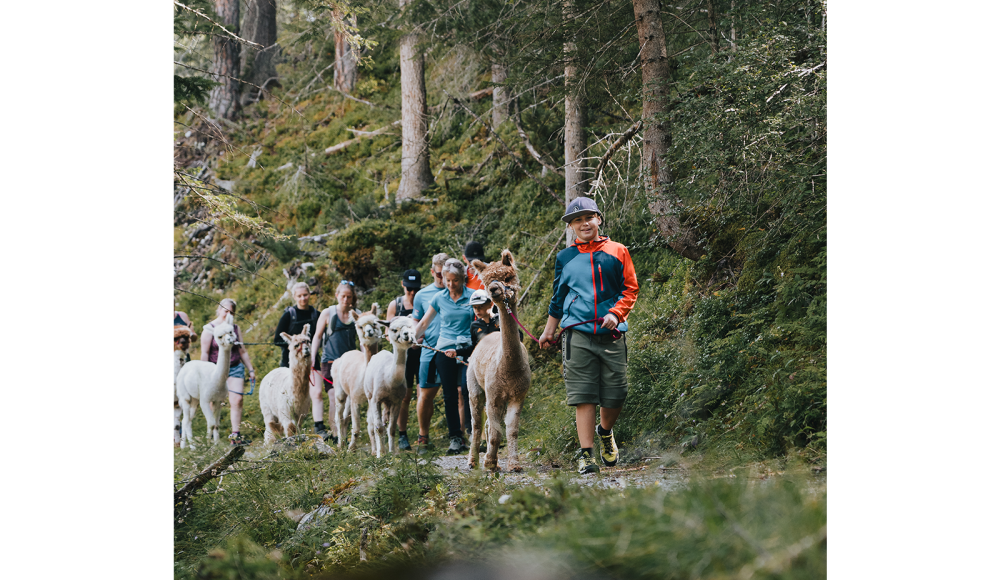 Familienfreundliche Wandererlebnisse im Wipptal : Ganz nach dem Motto: “Die Natur ist unser Spielplatz”