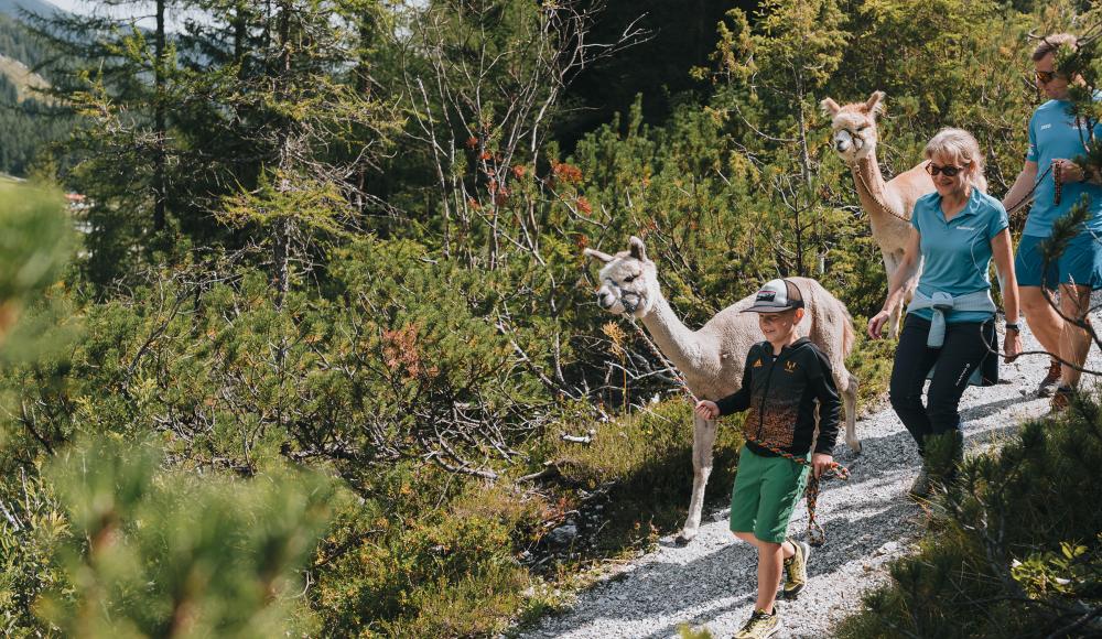 Familienfreundliche Wandererlebnisse im Wipptal : Ganz nach dem Motto: “Die Natur ist unser Spielplatz”