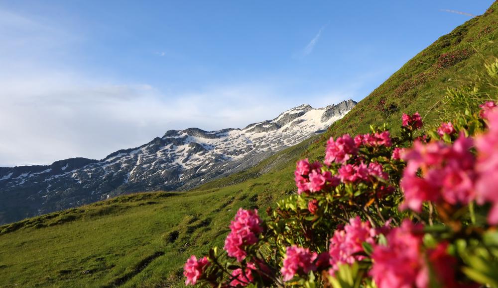 Almen, Gipfel & Bergseen