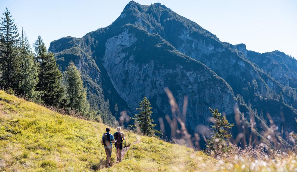 Familienmomente zwischen Gipfeln, Waldabenteuern und Wasserwelten