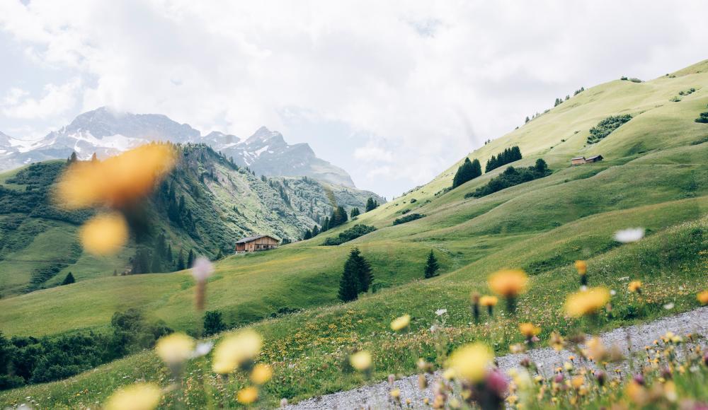 HIER OBEN. Wo Weite, Ruhe und alpine Höhenlagen aufeinandertreffen, wird der Blick auf die Region frei