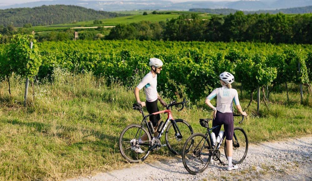 Das Kremstal entdecken – Radvergnügen zwischen Wein, Kultur und Natur