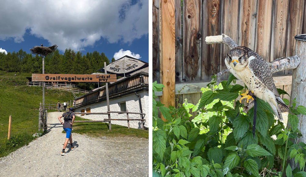 Raurisertal im SPORTaktiv-Regionstest: Zwischen Goldwaschen, Gletscherseen und Sternenhimmel