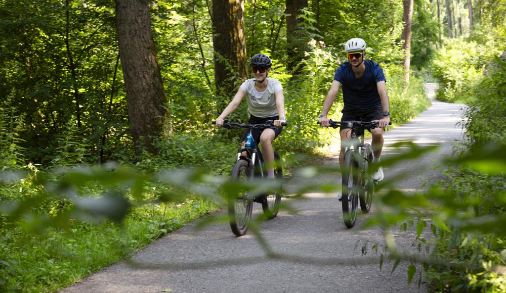 Das Kremstal entdecken – Radvergnügen zwischen Wein, Kultur und Natur