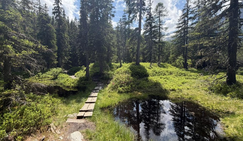 Raurisertal im SPORTaktiv-Regionstest: Zwischen Goldwaschen, Gletscherseen und Sternenhimmel