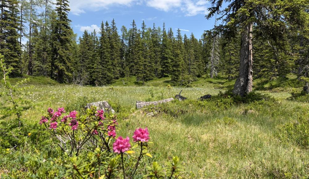 Raurisertal im SPORTaktiv-Regionstest: Zwischen Goldwaschen, Gletscherseen und Sternenhimmel