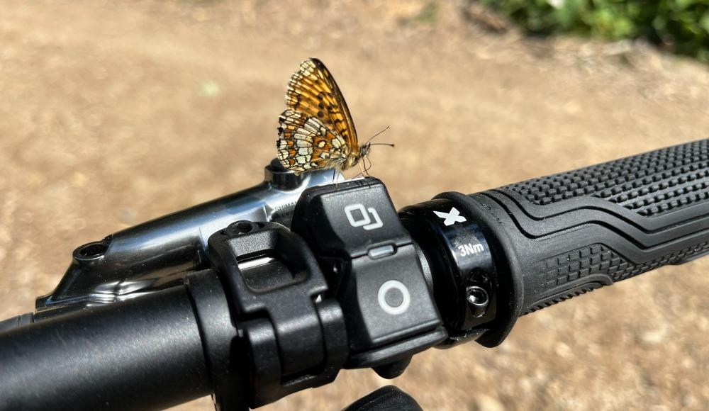 Propain Ekano AL Enduro im Test
