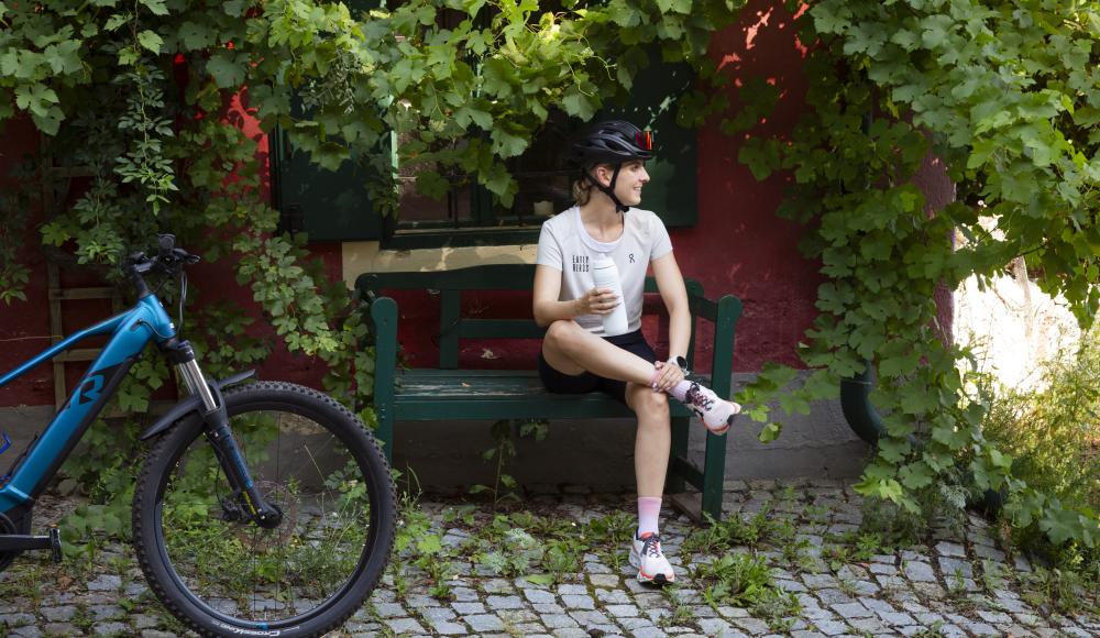 Das Kremstal entdecken – Radvergnügen zwischen Wein, Kultur und Natur
