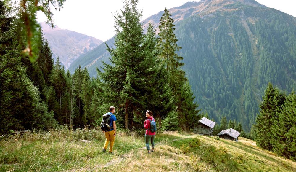 Top 20 Herbst-Almtouren 2026