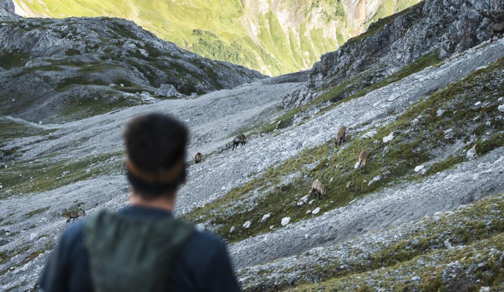 ARLBERG ULTRA 2027: DIE NEUE HERAUSFORDERUNG AM ARLBERG