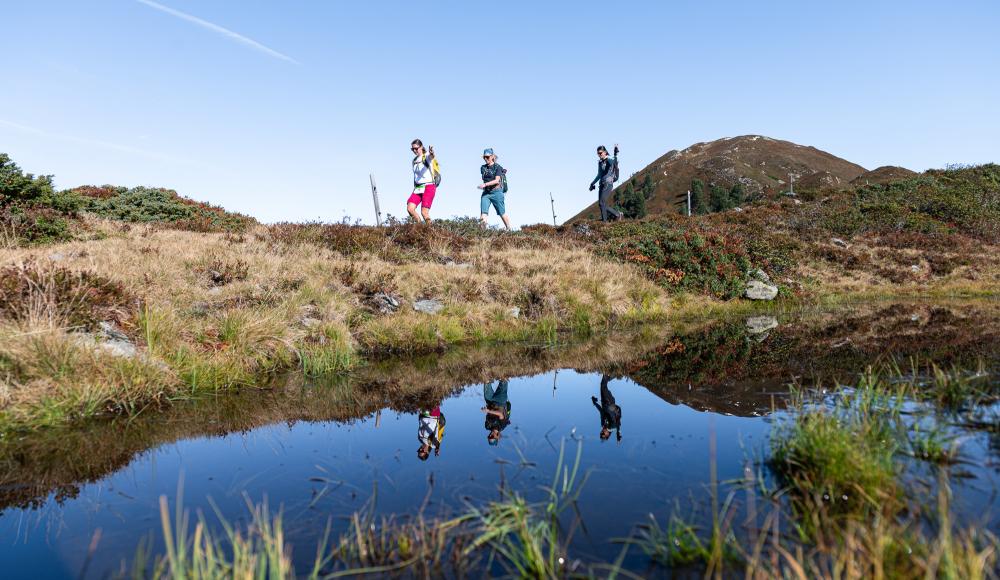 Höhenweg Trophy Wildschönau – Deine Berg-Challenge am 03. Oktober 2026