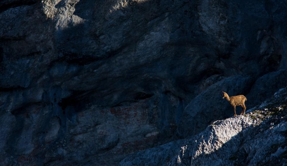 Mountainfilm Graz feiert 40-jähriges Jubiläum mit Siegerfilmen und neuen Outdoor-Dokus