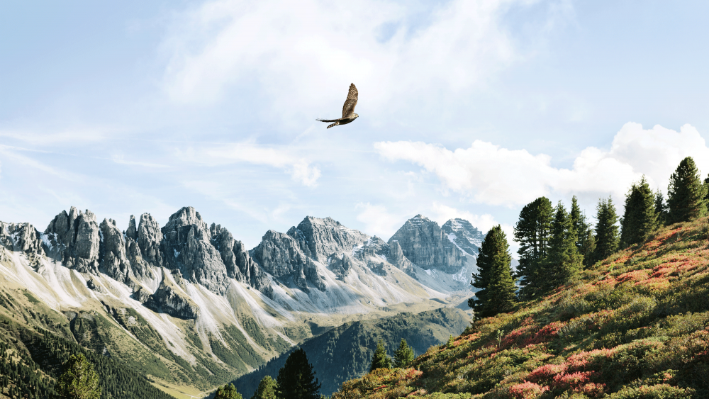 Nature-Watch-Touren: Die Natur einmal "anders" erleben