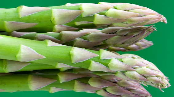 Spargel: Der Schlankmacher im Gemüsereich / Bild: KK